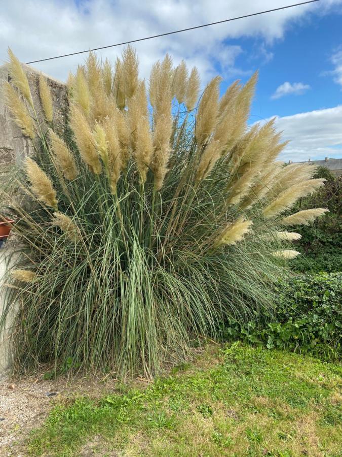 Gite Du Bois Pennier, Au Calme , A 15 Km Des Plages Du Debarquement Picauville Exterior photo